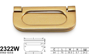 2322W珍珠金_铝-01