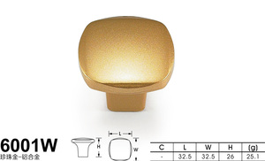 6001W珍珠金_铝-01